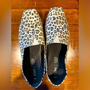 Leopard Tom’s